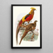 Thaumalea obscura - Joseph Smit — framed artwork on a wall