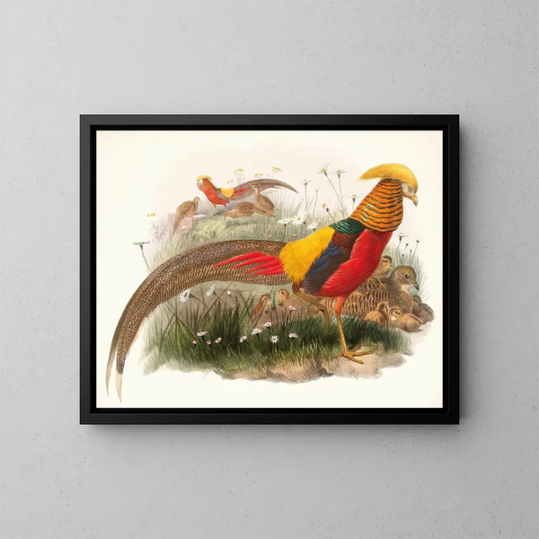 Thaumalea painted - Joseph Smit — framed artwork on a wall