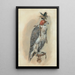 A hooded goshawk falcon - Joseph Wolf — framed artwork on a wall