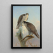 Norwegian Gyrfalcon Painting - Joseph Wolf — framed artwork on a wall