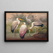 L'ibis bois africain - Joseph Wolf — framed artwork on a wall