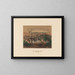 The American Rhea - Joseph Wolf — framed artwork on a wall