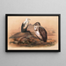 The Angolan Vulture - Joseph Wolf — framed artwork on a wall