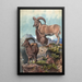 L'Aoudad - Joseph Wolf — cuadro enmarcado en la pared