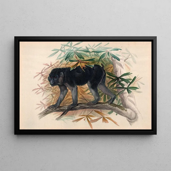 The sooty monkey - Joseph Wolf — framed artwork on a wall