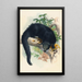 El Binturong - Joseph Wolf — cuadro enmarcado en la pared