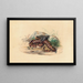 La Clotho - Joseph Wolf — framed artwork on a wall