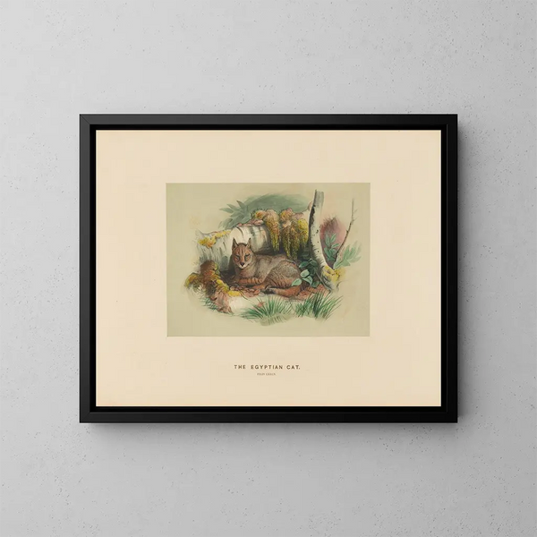 El gato egipcio - Joseph Wolf — cuadro enmarcado en la pared