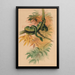 The Green Boa - Joseph Wolf — framed artwork on a wall