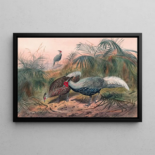 Joseph Wolf - The Lineated Pheasant.webp