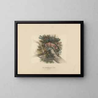 Joseph Wolf - The Norwegian Lynx.webp