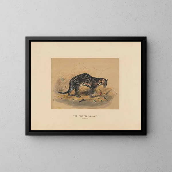 L'ocelot peint - Joseph Wolf — cuadro enmarcado en la pared