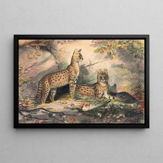 Joseph Wolf - The Serval.webp