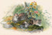 The Wagati Cat - Joseph Wolf — artwork view