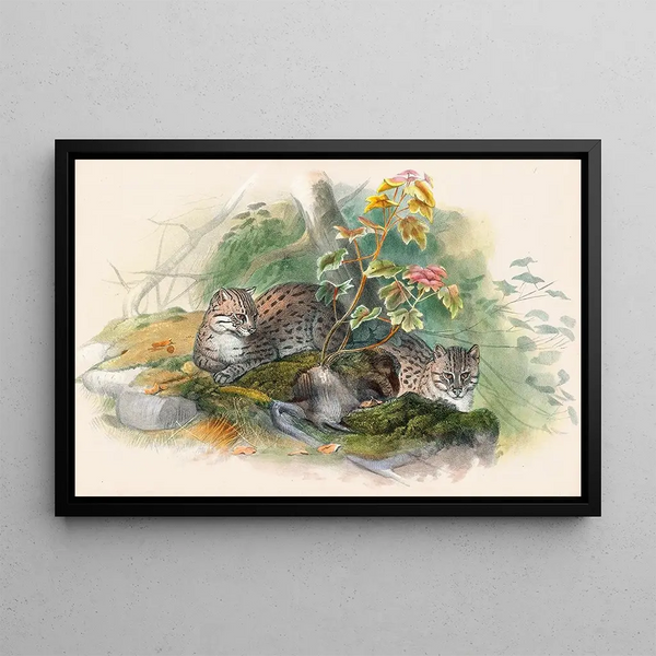 Joseph Wolf - The Wagati Cat.webp