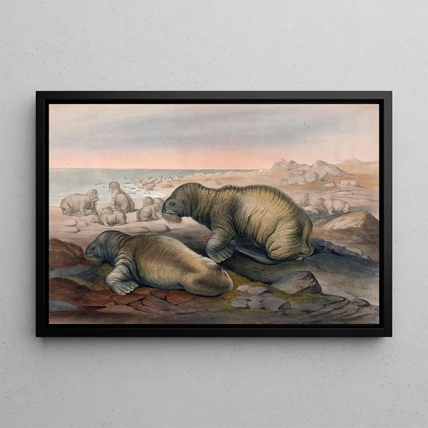 The Morse - Joseph Wolf — framed artwork on a wall