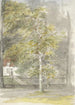 Árbol frente a la reja de una mansión - Jozef Israëls — vista de la obra