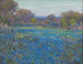 A field of bluebonnets under the afternoon sunlight - Julian Onderdonk — artwork view