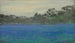 Campo de bluebonnets - Julian Onderdonk — vista de la obra