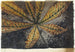 Hoja de castaño - Julie de Graag — vista de la obra