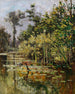 Altwasser con patos en otoño - Karl Hagemeister — vista de la obra