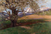 Cherry Blossom Painting - Karl Maria Schuster — artwork view