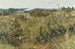 Grez-sur-Loing - Karl Nordström — vista de la obra