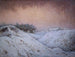 Caída de nieve - Karl Nordström — vista de la obra