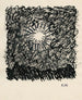 De mi vida 50 hojas XX - Karl Wiener — vista de la obra