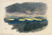 Study of Nature XLII - Karl Wiener — artwork view