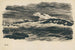 Study of Nature XLVIII - Karl Wiener — artwork view