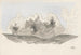 Study of Nature XXIII - Karl Wiener — artwork view