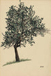 Untitled Tree Foliage - Karl Wiener — artwork view