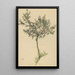 Sin título árbol frutal - Karl Wiener — cuadro enmarcado en la pared