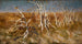 Chardons musqués - Kazimierz Sichulski — vista de la obra