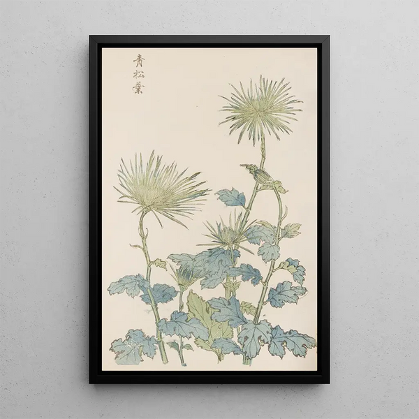 Keika Hasegawa - Keika hyakugiku Pl18.webp