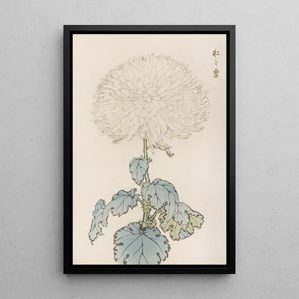 Keika Hasegawa - Keika hyakugiku Pl19.webp