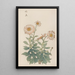 Keika hyakugiku Pl30 - Keika Hasegawa — framed artwork on a wall