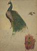 Study of the Peacock's Science in the Tympan - Kenyon Cox — artwork view