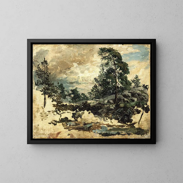 Estudio de terreno - Kilian Zoll — cuadro enmarcado en la pared