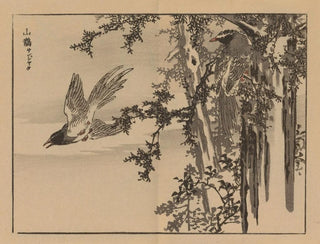 Kno Bairei - Bairei gafu Pl34.webp
