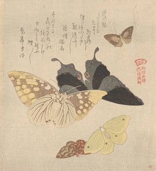 El manual de pintura de la nube de mariposas Guncho Gafu 4 - Kubo Shunman