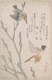 Martins-pêcheurs et saules - Kubo Shunman — artwork view
