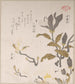 Flores de magnolia - Kubo Shunman — vista de la obra