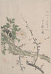 Roses and Plum Blossom Flowers - Kubo Shunman — artwork view