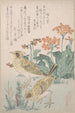 Alouettes et primevères - Kubo Shunman — artwork view