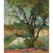 Reproducción del cuadro L'Arbre - Suzanne Valadon