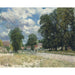 Reproducción del cuadro La Ruta de Marly-le-Roi - Alfred Sisley