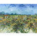 Reproducción del cuadro La vigne verte - Vincent Van Gogh