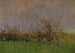 Un prado en flor - Ladislav Mednyánszky — vista de la obra